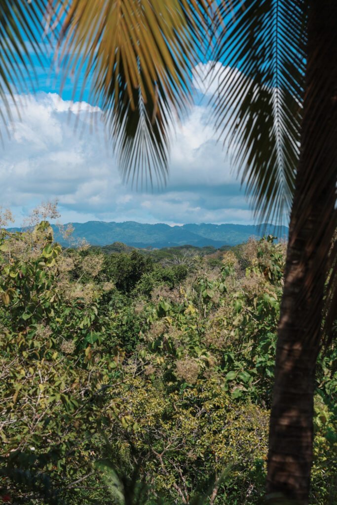 Home Oceanview Studio 2 683x1024